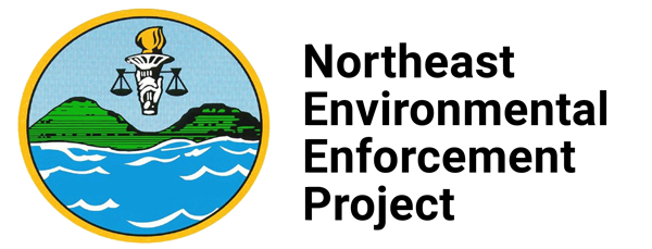 NEEP Logo